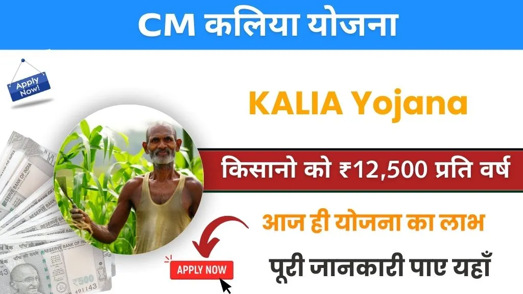 kalia yojana